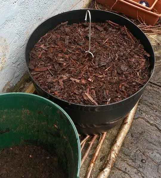 pots covered in mulch